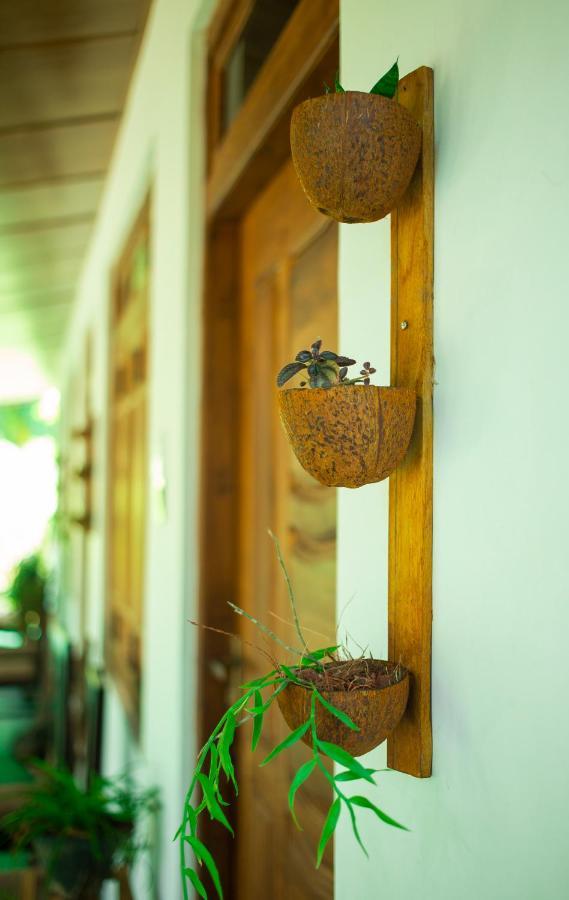 Dambulla Kings Inn Exteriér fotografie
